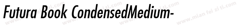 Futura Book CondensedMedium字体转换